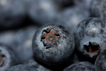 Fresh blueberries background top view concept of healthy and dieting eating big size high quality botanical prints vaccinium corymbosum family ericaceae