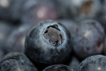 Fresh blueberries background top view concept of healthy and dieting eating big size high quality botanical prints vaccinium corymbosum family ericaceae
