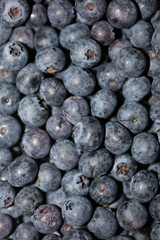 Fresh blueberries background top view concept of healthy and dieting eating big size high quality botanical prints vaccinium corymbosum family ericaceae