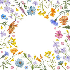 Round floral frame. Meadow flowers and herbs background. Hand drawn flowers