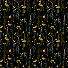 Meadow flowers and herbs  seamless pattern. Field rapeseed. Yellow meadow floral background.