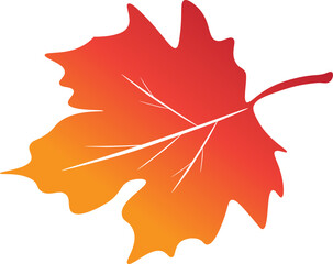 Autumn maple leaf