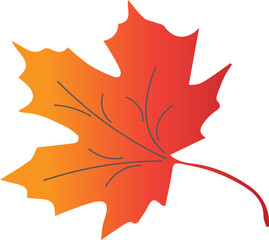 Obraz premium Autumn maple leaf