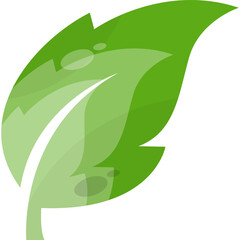 green leaf vector