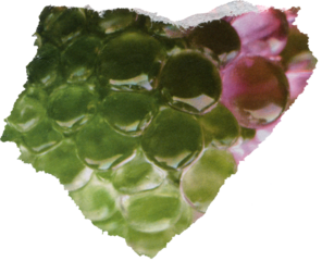 textured scrap of magazine paper