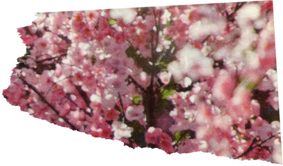 pink textured scrap of magazine paper