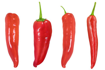 Collection of chili peppers on isolated white background