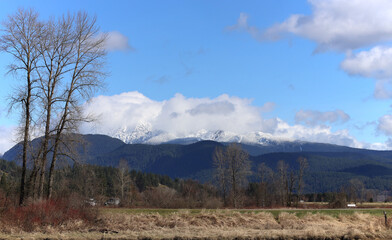 Autumn scenery with leafless trees and snow