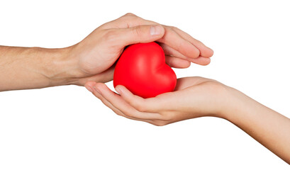 Red Heart in hands isolated on white background