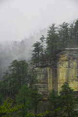 bluffs with trees and fog at Pogue Creek Canyon