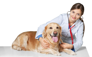 Fototapeta na wymiar Attractive young female doctor with funny canine patient