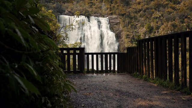 Huge waterfall in the middle of the forest. Marokopa Falls, New Zealand