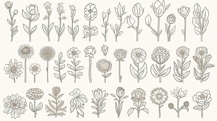 Fototapeta na wymiar Flowers line icons set. Blooming plants - rose, tulip, daisy bouquet, sunflower, lotus, chamomile, dandelion, chrysanthemum, lily vector illustration. generative ai