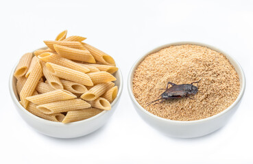 Crickets flour pasta and crickets powder for eating in white ceramic bowl, isolated on white background. Close up. Source of protein. Organic food of the future. Entomophagy concept. Selective Focus