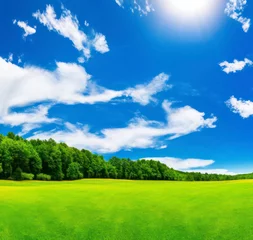 Wall murals Lime green Sunny day. Panoramic natural landscape with green field and blue sky.  Generative AI