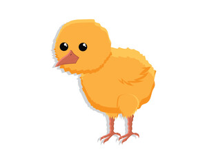 vector illustration design of a cartoon cute bird with round black eyes and yellow color with a small beak and small reddish-brown legs and claws