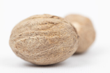 Nutmeg isolated. Whole nut and nutmeg powder isolated on white background.