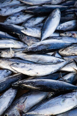 flat lay of fresh fish on the market