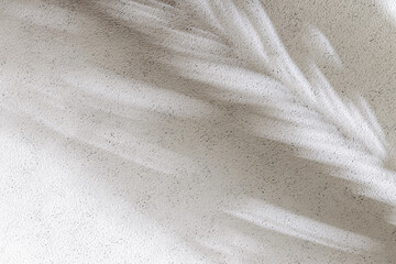 Obraz premium Palm leaf shadow on white concrete wall. Minimal summer exotic concept with copy space