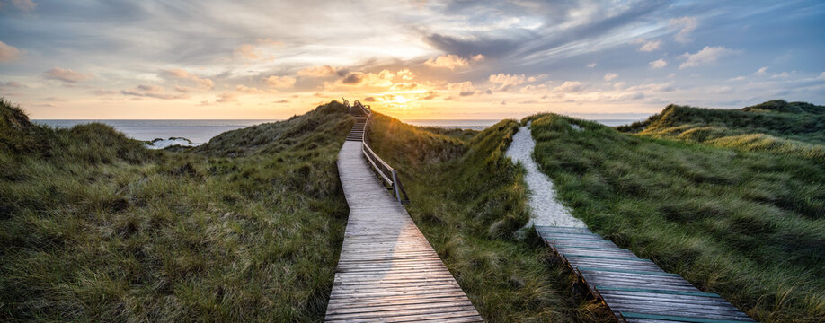 Path through the dunes at sunset
