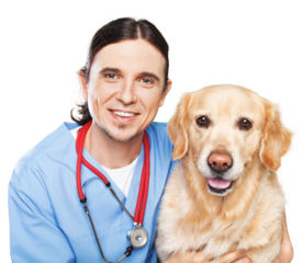 Male Veterinarian with dog on blurred clinical background
