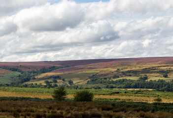 Fototapeta premium North Yorkshire moors National Park