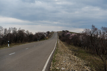 Road in Garedja desert