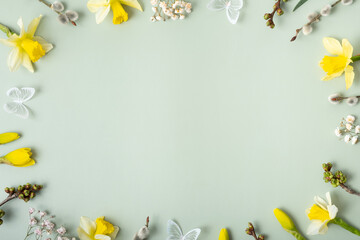 Spring flowers flat lay frame composition on pastel green background with copy space. Daffodils and willow with butterfly top view