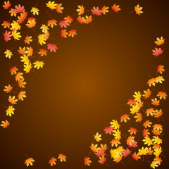 Maple leaves vector background, autumn foliage on white graphic design.