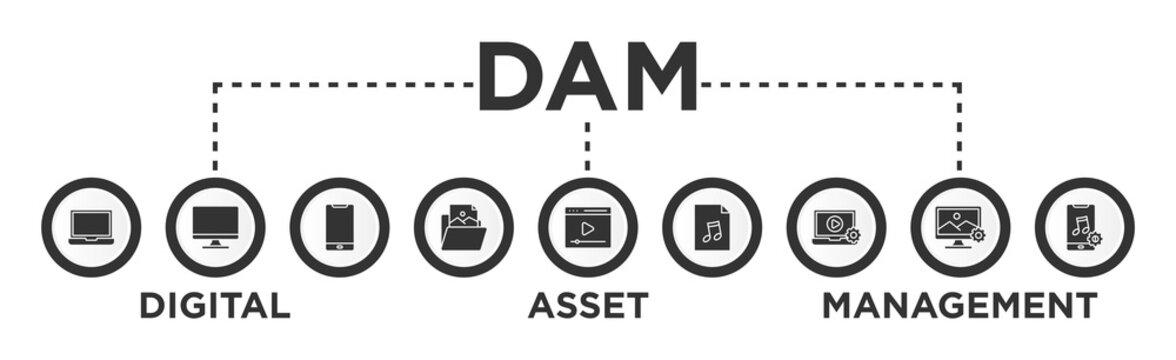 Digital asset management banner web icon vector illustration