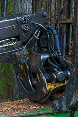 Logging equipment in the forest, loading logs for transportation. Harvesting and storage of wood in the forest. Transportation of freshly cut logs for the forest industry.