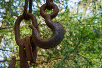 Logging equipment in the forest, loading logs for transportation. Harvesting and storage of wood in the forest. Transportation of freshly cut logs for the forest industry.