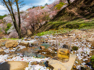 吉野山千本桜を見ながら飲むお酒