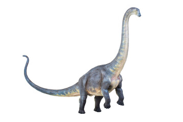 dinosaur , Brontosaurus isolated background