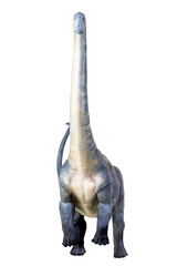 dinosaur , Brontosaurus isolated background © meen_na