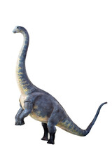 dinosaur , Brontosaurus isolated background