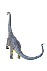 dinosaur , Brontosaurus isolated background