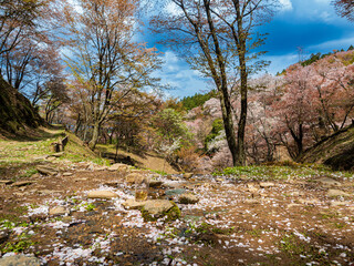吉野山の風景