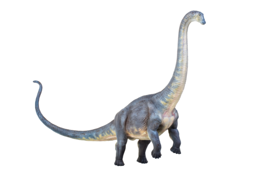 dinosaur , Brontosaurus isolated background