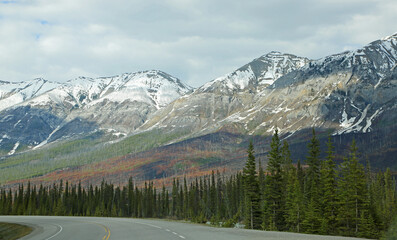 Burned hill - Kootenay National Park, Canada