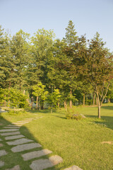 Trees, grass and trails in the park on Nami Island.