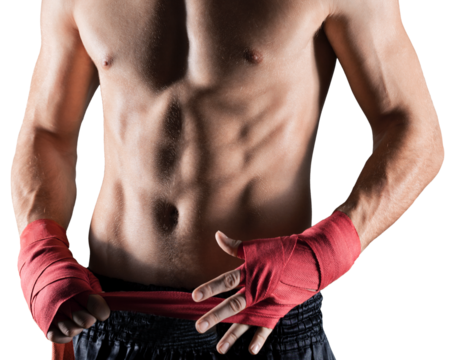 Young boxer isolated on  background