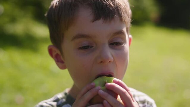 Cute portrait of a 4 year old boy eating a fresh apple at an orchard on a sunny day.