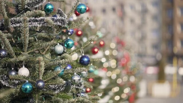 Shiny Christmas tree ornament bobbles hang and glimmer on trees lined up in row