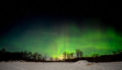 Bright green and yellow aurora in a dark blue sky with stars above a snow covered beaver pond with a beaver lodge in the foreground.
