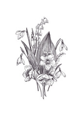 Romantic spring bouquet of flowers. Meadow and garden plants. Lily of the valley, anemone, hellebore, snowdrop. Vintage engraving style. Botanical illustration. Black and white.