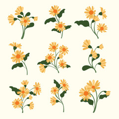 pattern with flowers