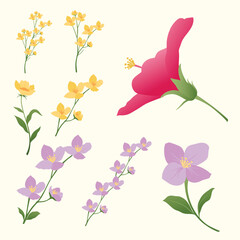 flowers and butterfly