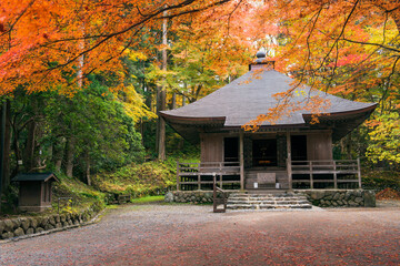 紅葉の中尊寺