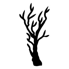 branches and tree trunks transparent illustration